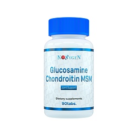 Noxygen Glucosamine Chondroitin MSM 90 tabl 