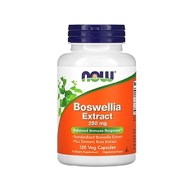 NOW Boswellia Extra 250 mg 120 Veg Caps