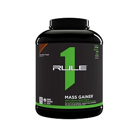 RuleOne R1  Mass Gainer 2600 g Chocolate Fudge 