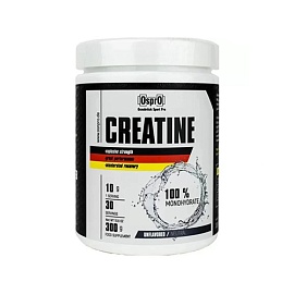 OsprO Creatine 300 g 