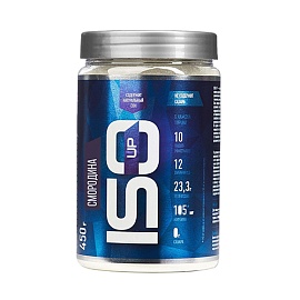 RLine Isotonic UP 450 g Черная смородина