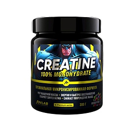 Advlab - Creatine 100 % 300 g Лесные Ягоды 