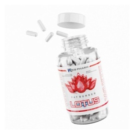 Reg Pharm Lotus White 2 caps