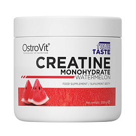 OstroVit Creatin 300 g Watermolen 