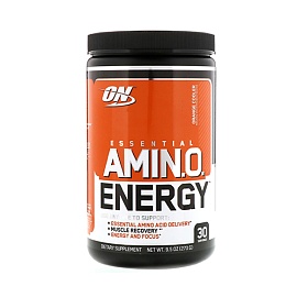 ON Amino Energy 270 g Orange Cooler 