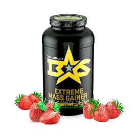 BinaSport Mass Geiner 1500 g Strawberry