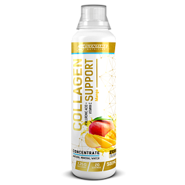 Syntime Nutrition Collagen Suport 500 ml Mango 